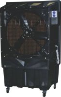test temp coolor image (14)
